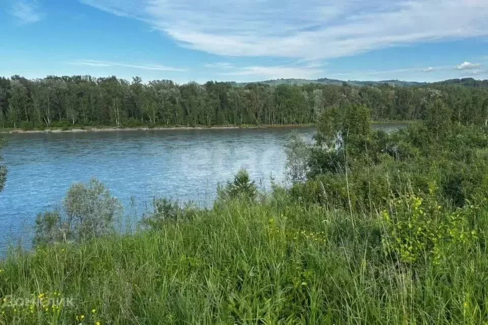 Участок в Алтай, Майминский район, с. Подгорное ул. Прибрежная (20.0 ... - Фото 2