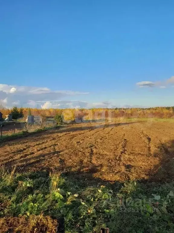 Участок в Кировская область, Слободской район, Шиховское с/пос, д. ... - Фото 1