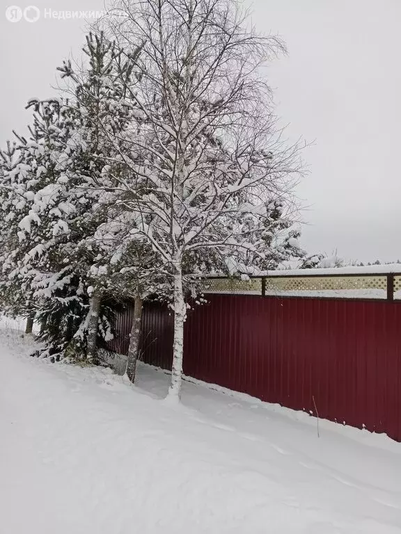 Участок в Лисинское сельское поселение, деревня Ёглино, Большая улица ... - Фото 1