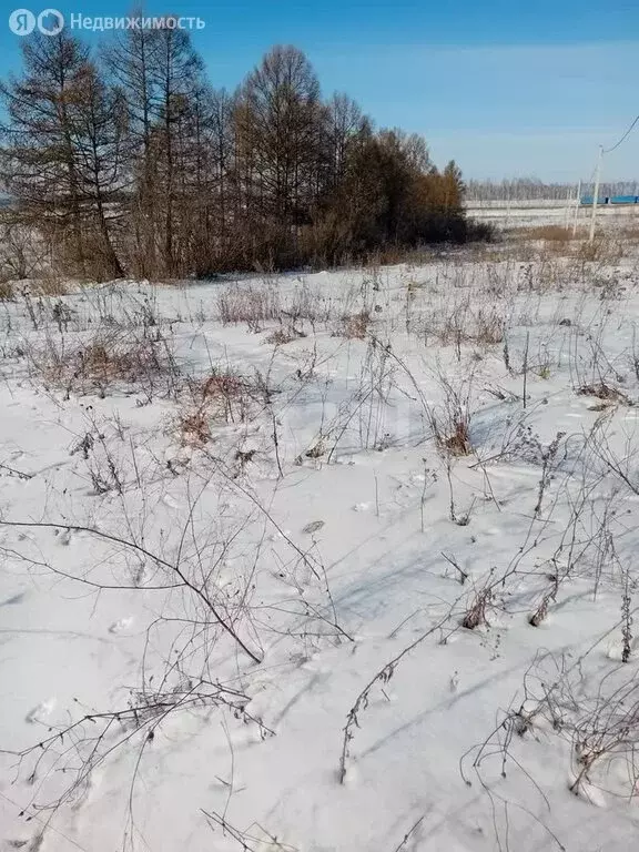 Участок в Бирюч, Тихая улица (14.7 м) - Фото 2