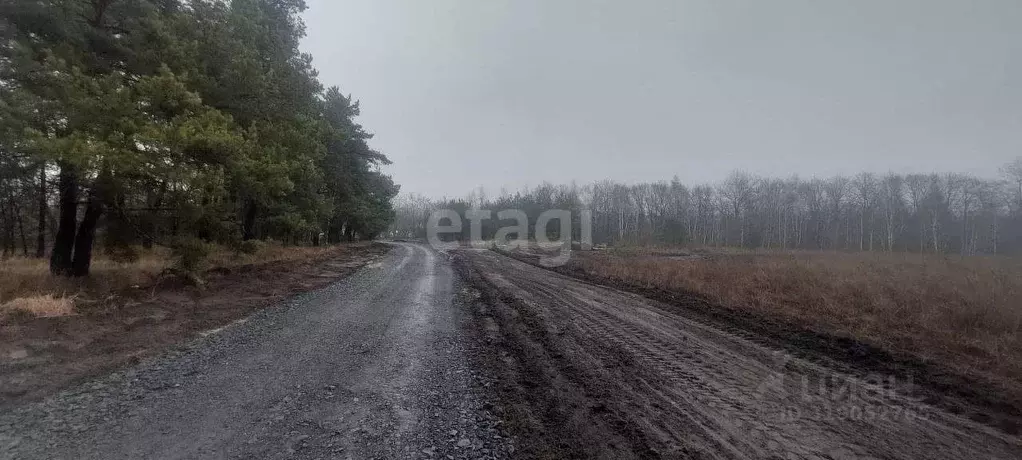 Участок в Белгородская область, Старый Оскол ш. Староворонежское (17.7 ... - Фото 0
