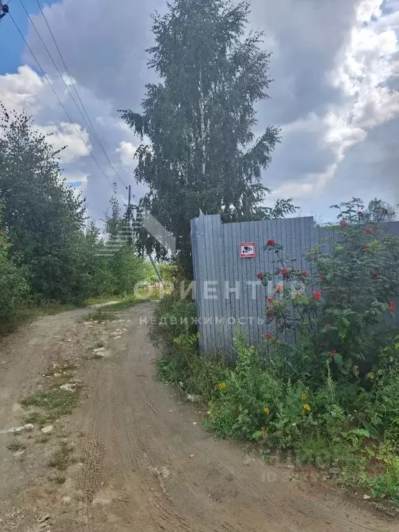 Участок в Свердловская область, Заречный муниципальный округ, с. ... - Фото 2