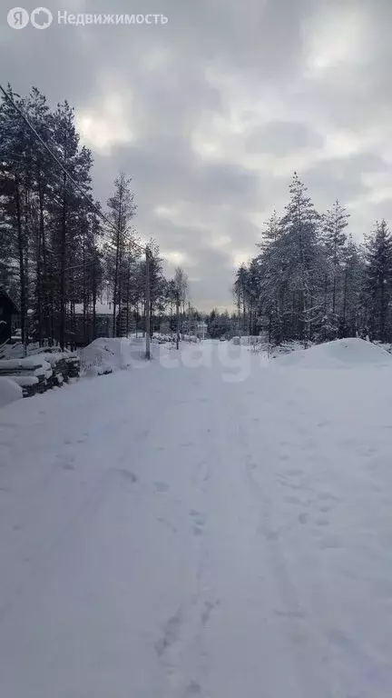 Участок в Ленинградская область, Всеволожское городское поселение, ... - Фото 1