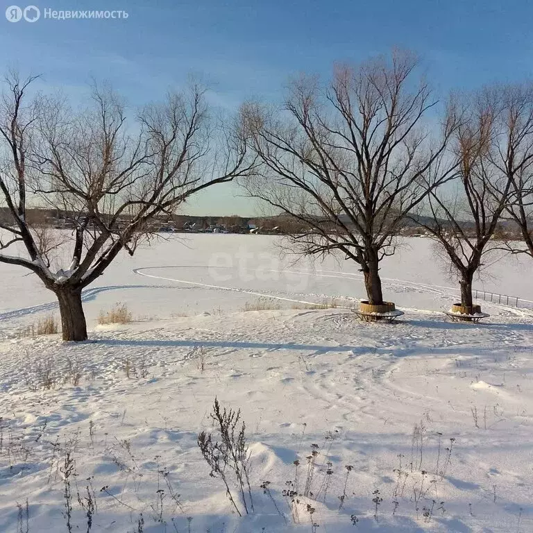 Дом в Кыштым, 2-я Южная улица (47.8 м) - Фото 2