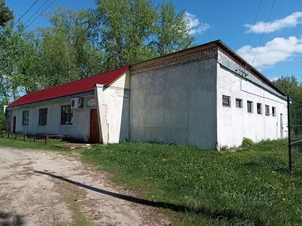 Торговая площадь в Рязанская область, Сараевский район, Сысоевское ... - Фото 0