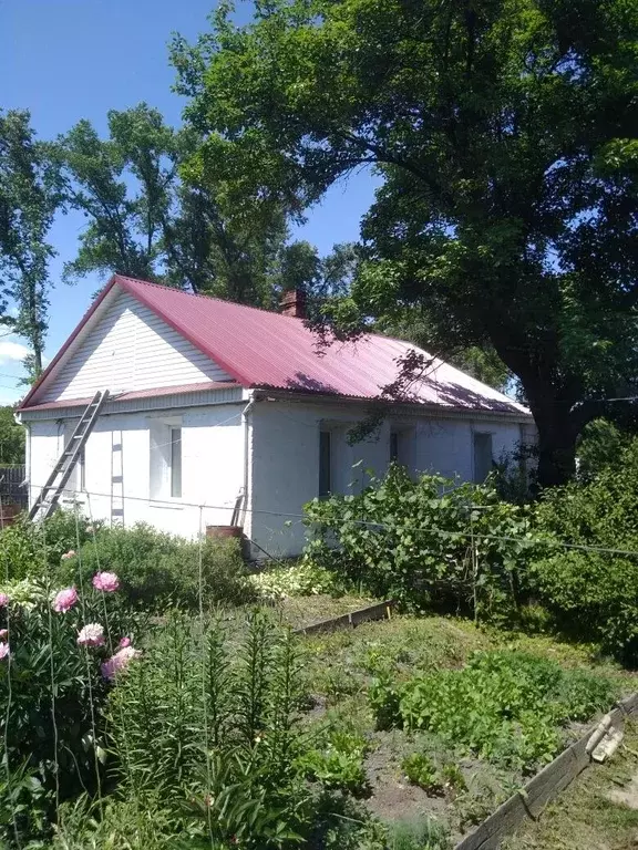 Дом, 54 м - Фото 1