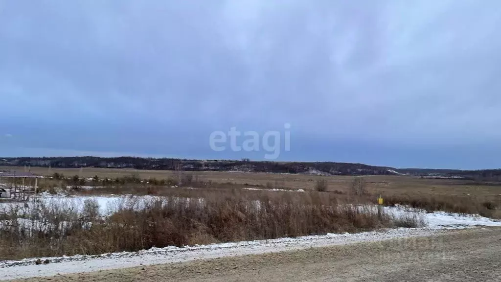 Участок в Амурская область, Благовещенский район, с. Кантон-Коммуна  ... - Фото 1