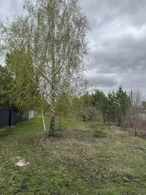 Участок в Самарская область, Красноярский район, Старая Бинарадка ... - Фото 2