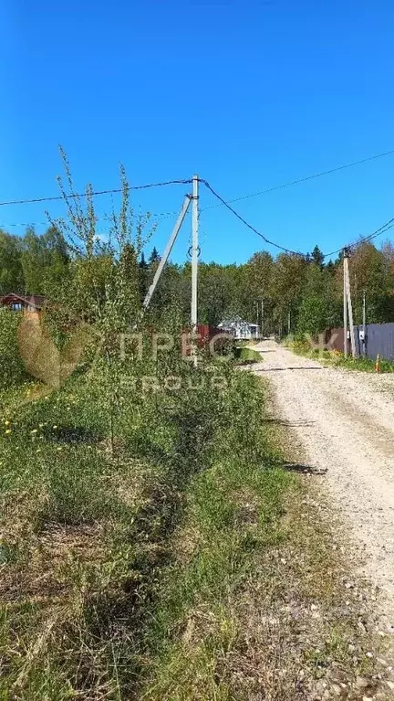 Участок в Московская область, Сергиево-Посадский городской округ, СНТ ... - Фото 0