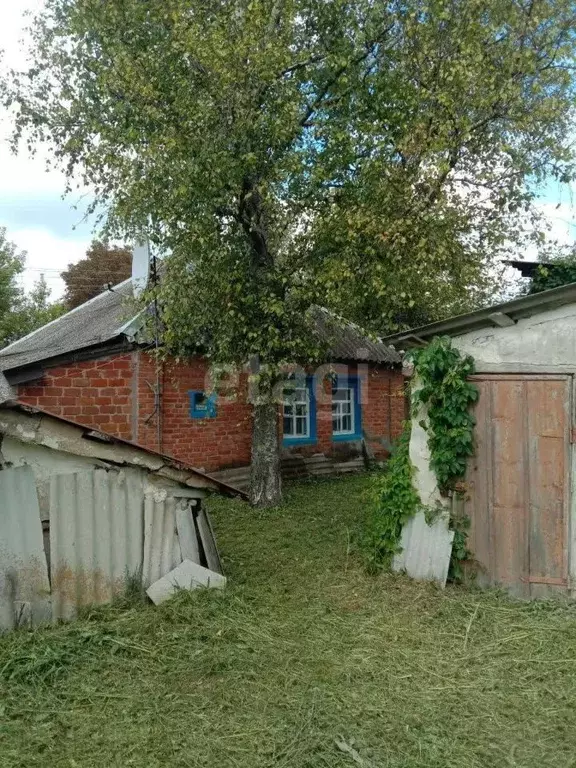 Дом в Белгородская область, Валуйский городской округ, с. Казинка ул. ... - Фото 0