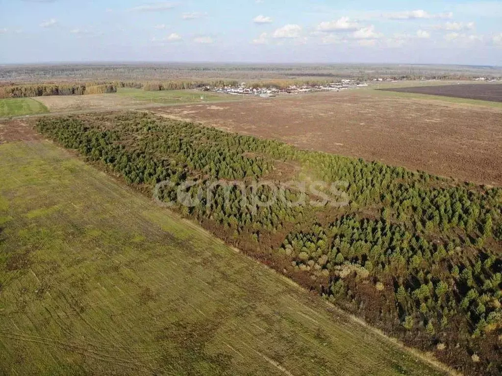 Участок в Тюменская область, Тюменский район, Новокаменский кп  (5.0 ... - Фото 1