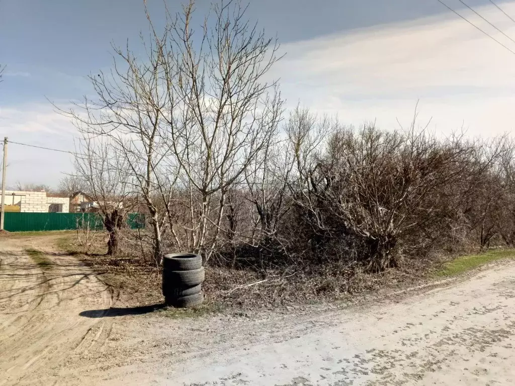 Участок в Краснодарский край, Ейское городское поселение, пос. ... - Фото 2