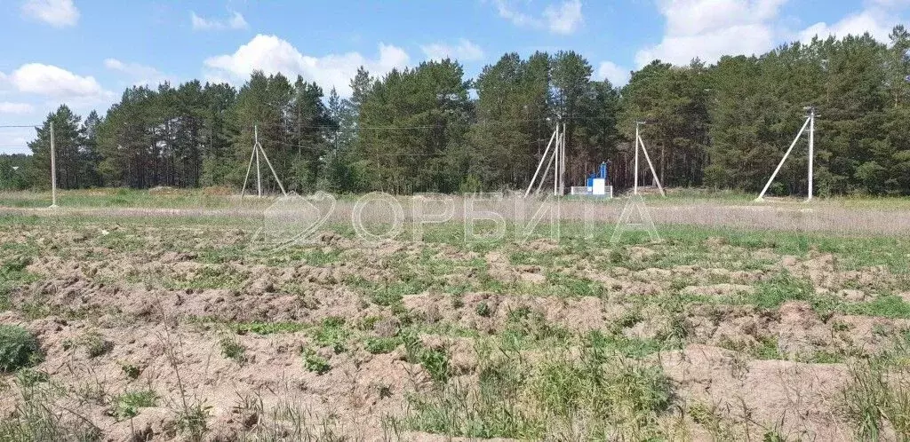 Участок в Тюменская область, Тюменский район, д. Криводанова  (11.5 ... - Фото 1