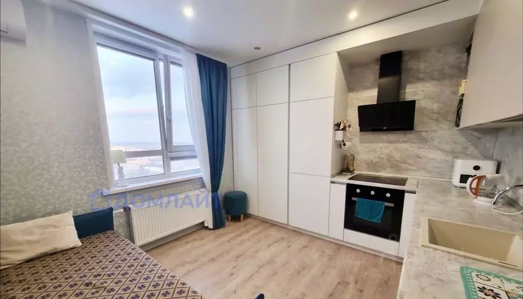 Студия Самарская область, Самара ул. Антонова-Овсеенко, 20 (24.1 м) - Фото 1