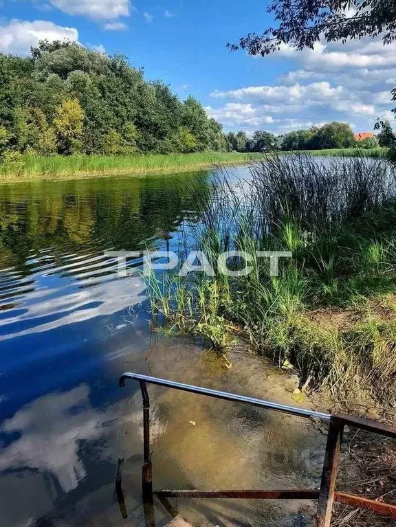 Дом в Воронежская область, Новоусманский район, Усманское 1-е с/пос, ... - Фото 1