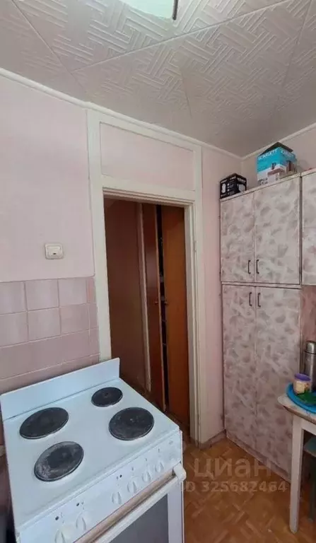 1-к кв. Томская область, Северск ул. Калинина, 54А (31.6 м) - Фото 2