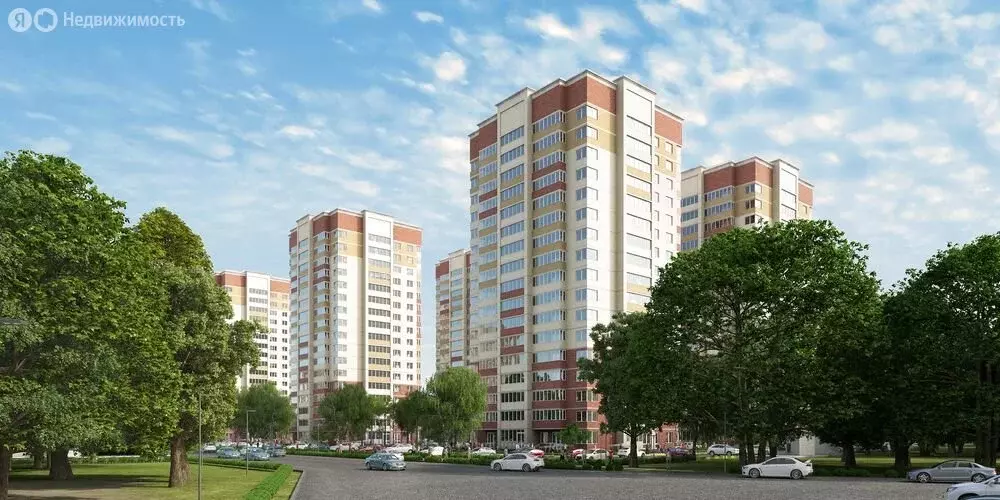 Торговая площадь (49.6 м) - Фото 2