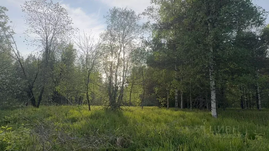 Участок в Санкт-Петербург, Санкт-Петербург, Зеленогорск Приморское ш. ... - Фото 2