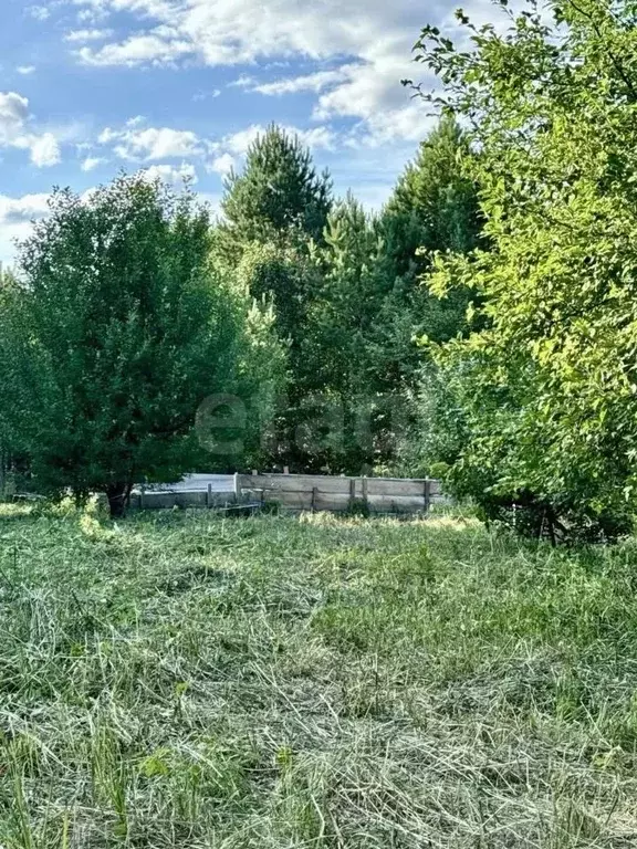 Участок в Алтай, Чемальский район, с. Анос Центральная ул., 41 (12.0 ... - Фото 1