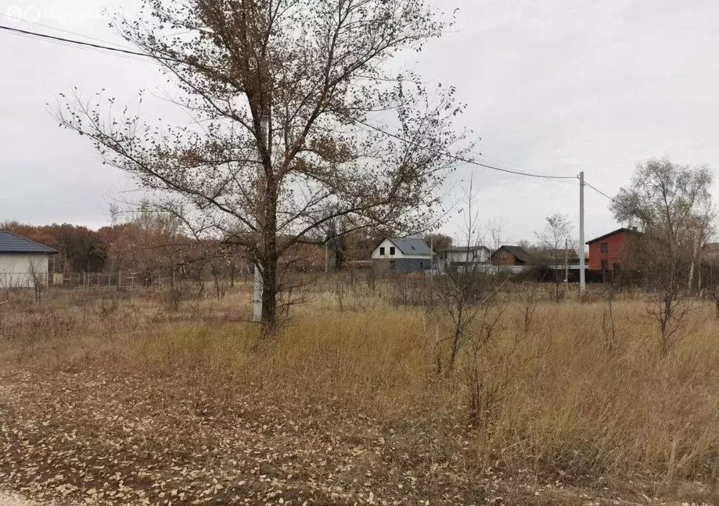 Участок в Культура, Зелёная улица (10 м) - Фото 2