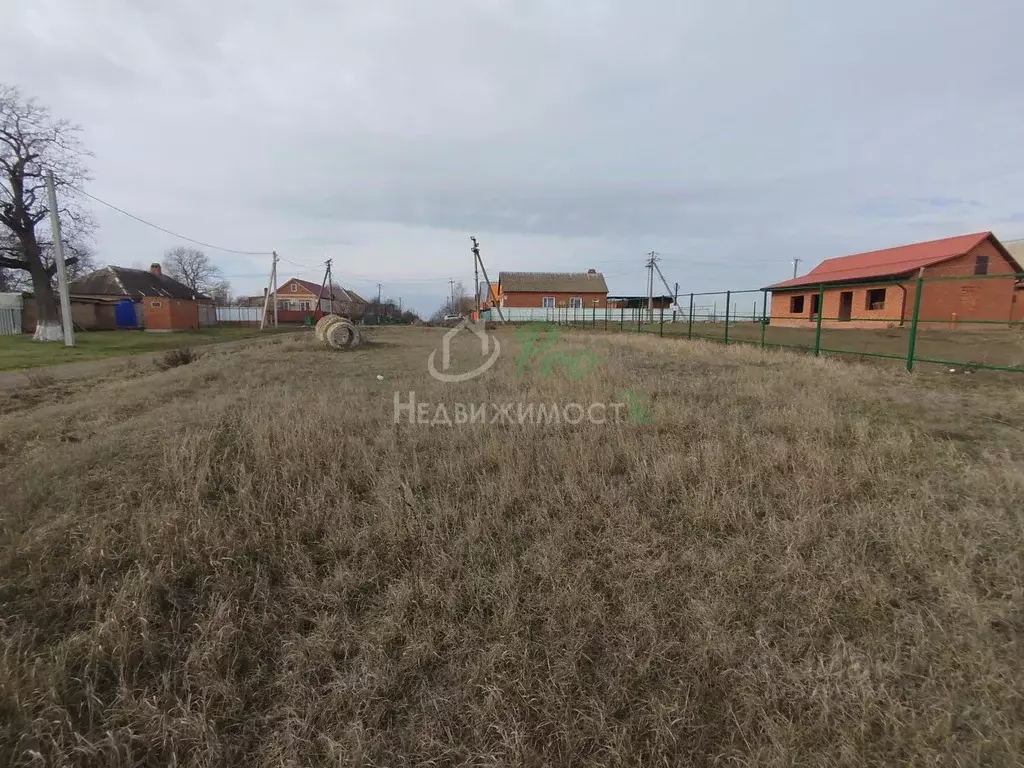 Участок в Краснодарский край, Щербиновский район, Старощербиновская ... - Фото 0