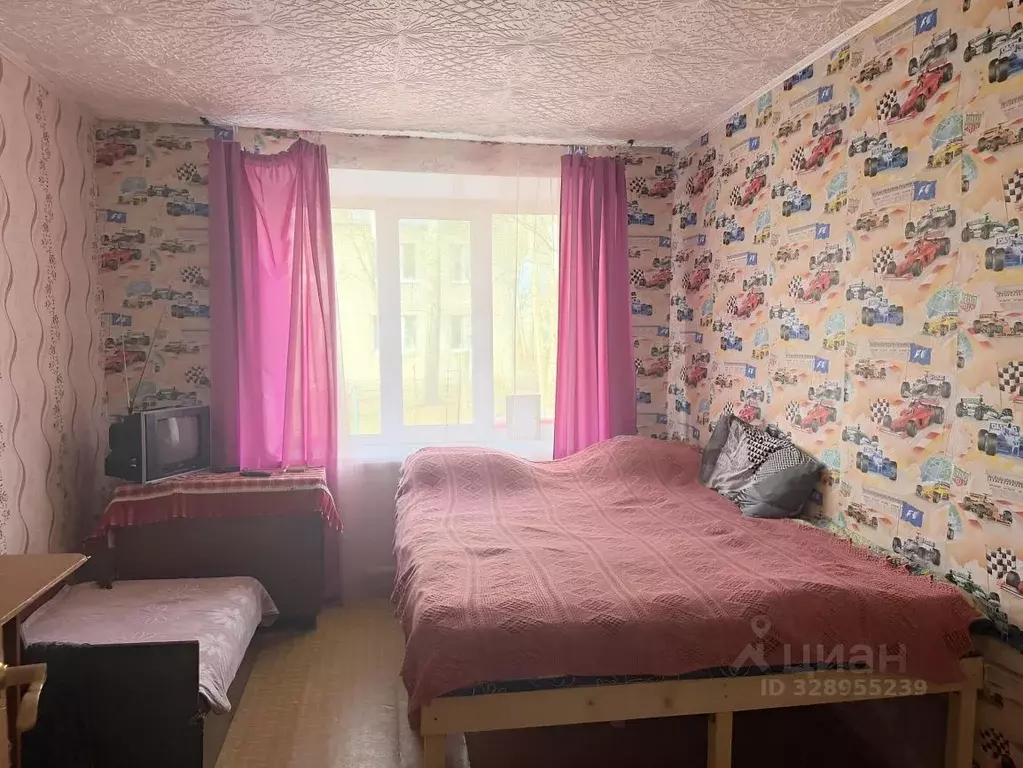 3-к кв. Тверская область, Конаковский муниципальный округ, с. Селихово ... - Фото 2