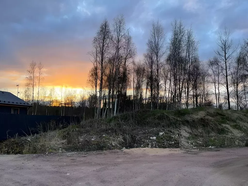 Участок в Ленинградская область, Всеволожск  (12.0 сот.) - Фото 0