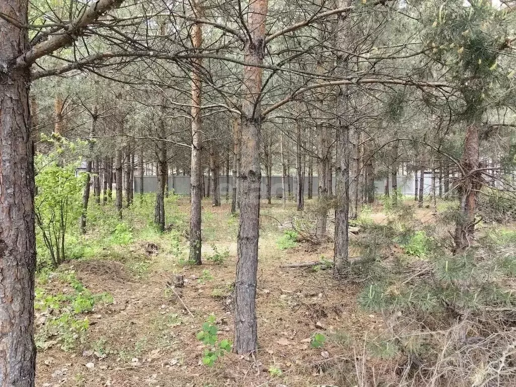 Участок в Воронежская область, Воронеж Большая Семья СНТ,  (15.0 сот.) - Фото 0