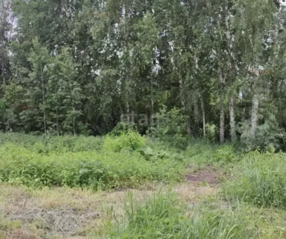 Участок в Оренбургская область, Илекский район, пос. Димитровский  ... - Фото 2