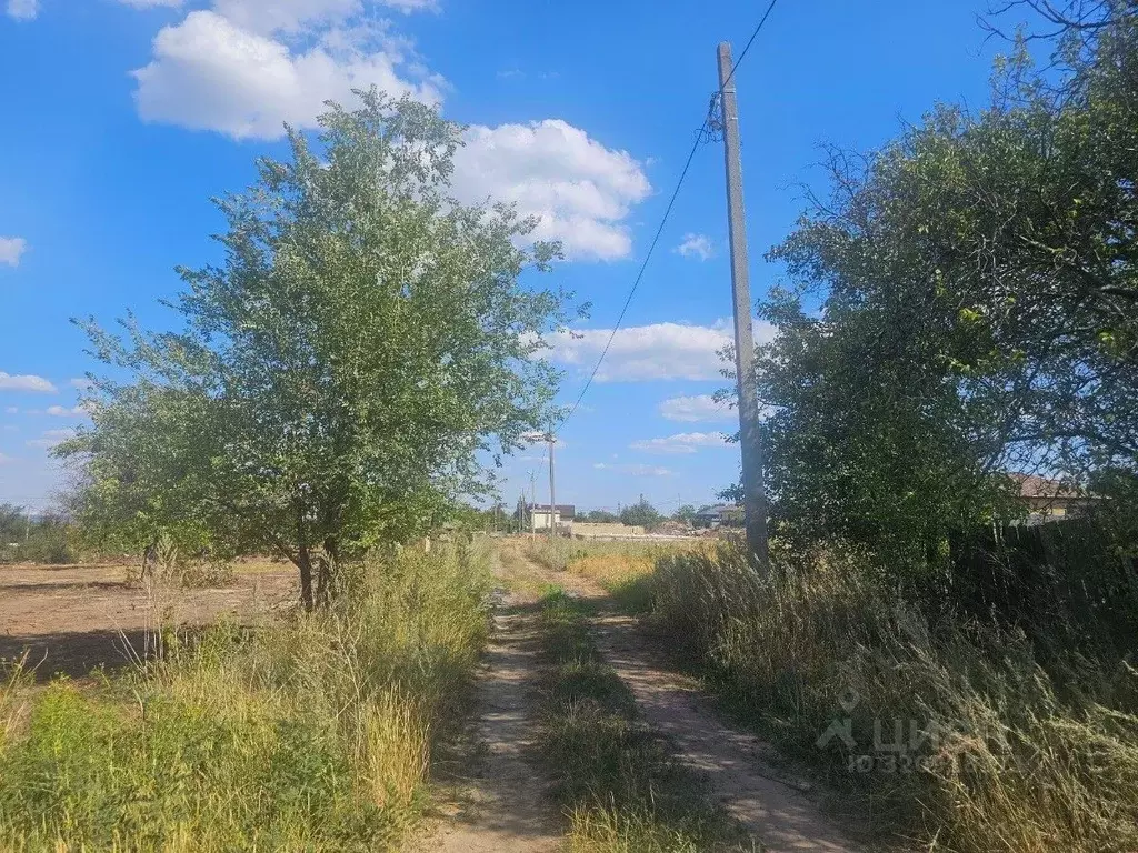 Участок в Волгоградская область, Волгоград Дзержинец СНТ, ... - Фото 0