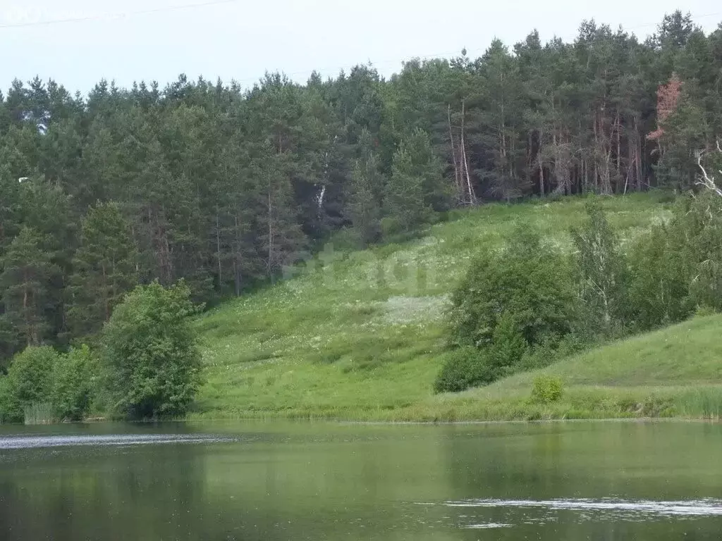 Участок в посёлок Рига, улица Юдина (10 м) - Фото 2