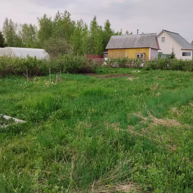 Участок в Архангельская область, Приморский муниципальный округ, ... - Фото 1