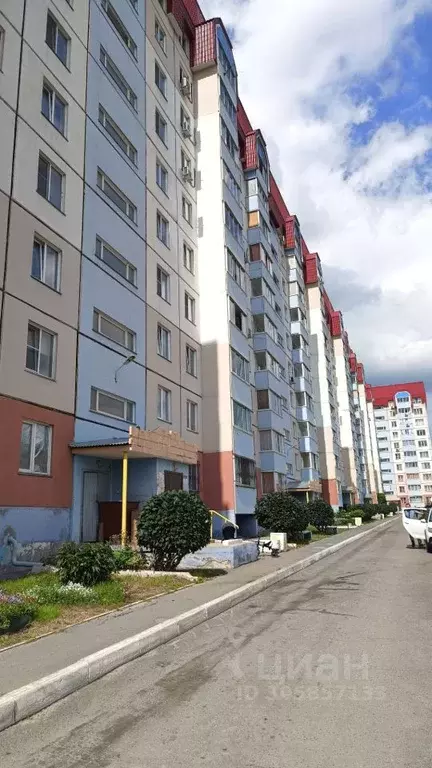 1-к кв. Алтайский край, Барнаул ул. Малахова (33.0 м) - Фото 0