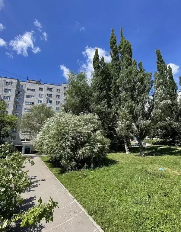 3-к кв. Московская область, Щелково Пролетарский просп., 12 (63.0 м) - Фото 2