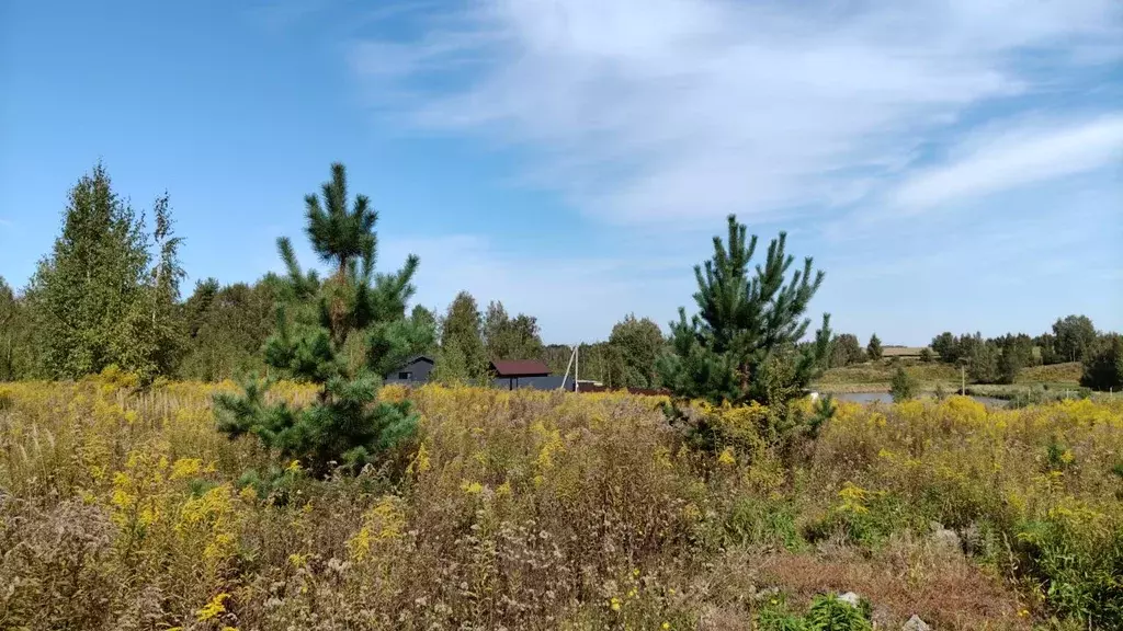 Участок в Брянская область, Брянский район, Добрунское с/пос  (40.0 ... - Фото 1
