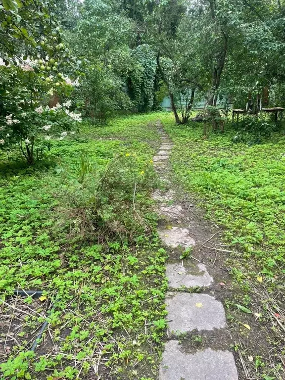 Участок в Московская область, Голицыно Одинцовский городской округ, ... - Фото 1