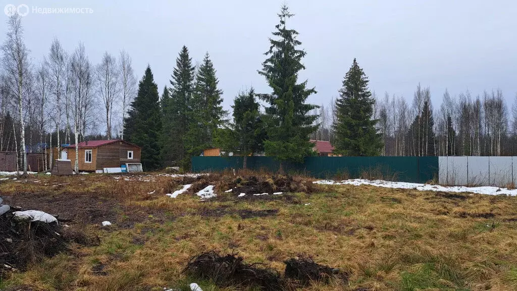 Участок в Пениковское сельское поселение, садоводческое некоммерческое ... - Фото 1