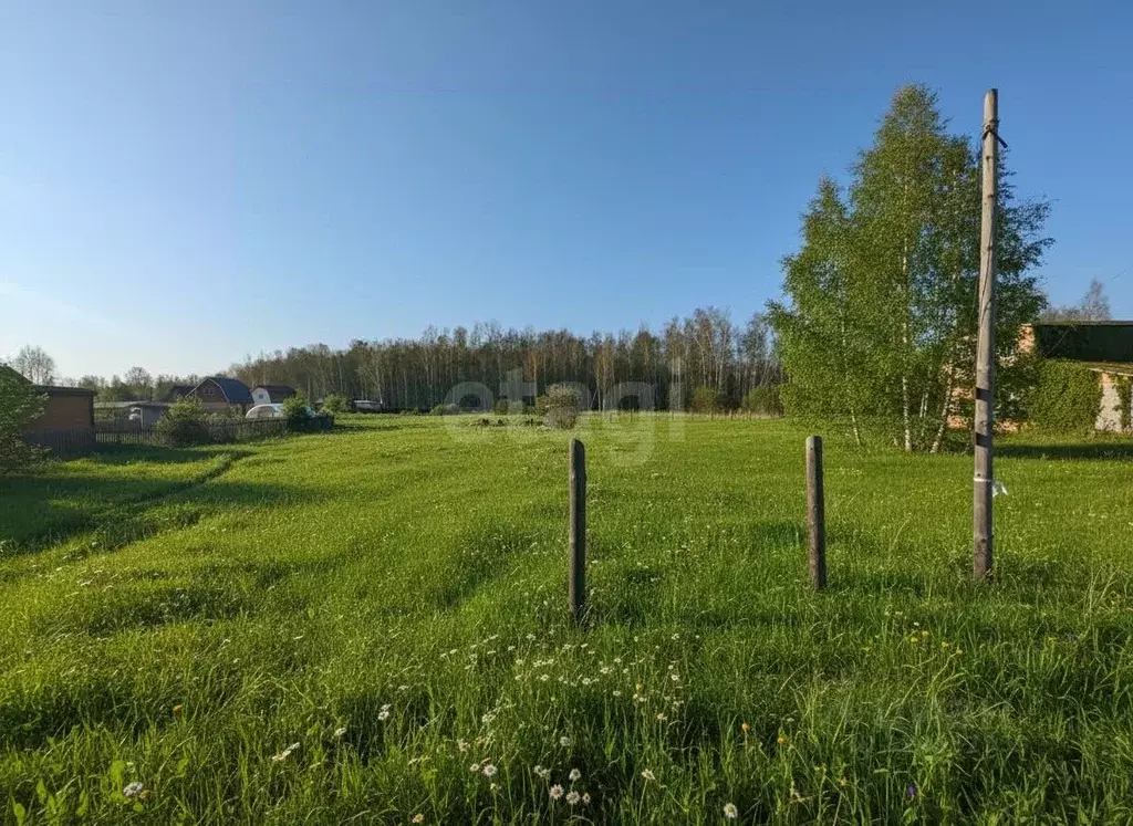 Участок в Курганская область, Курган Боровик СНТ,  (8.24 сот.) - Фото 1
