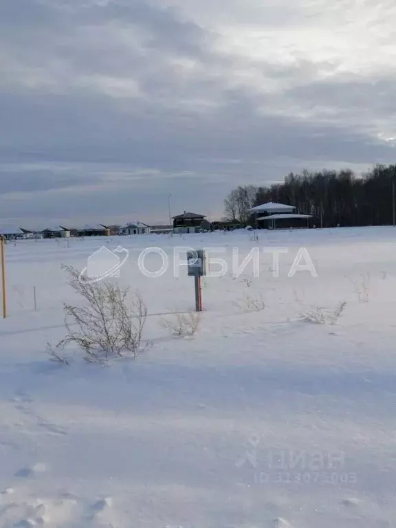 Участок в Тюменская область, Тюменский район, с. Каменка  (12.7 сот.) - Фото 1