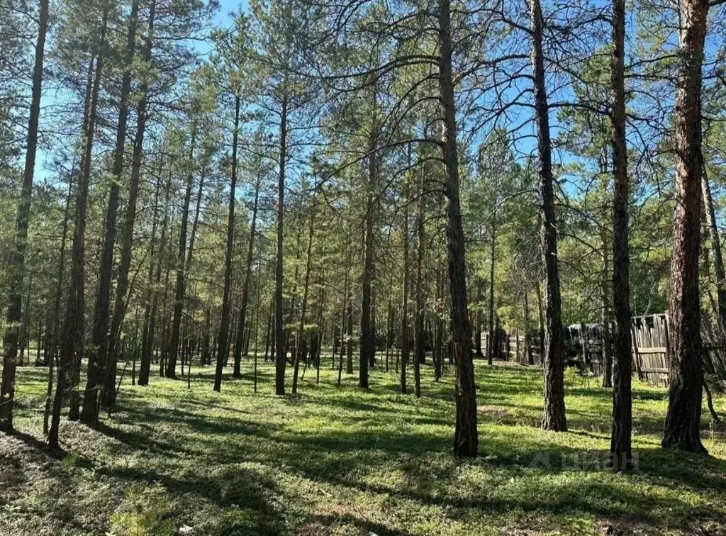 Участок в Саха (Якутия), Якутск Маганский тракт, 2-й км (13.11 сот.) - Фото 0