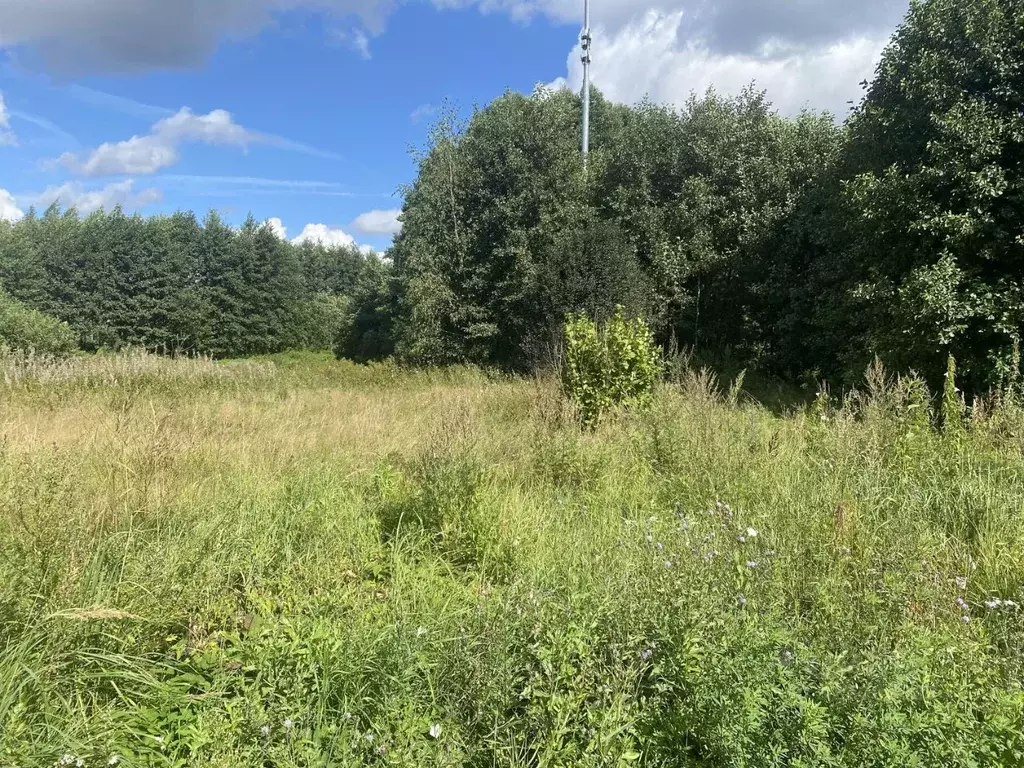 Участок в Московская область, Орехово-Зуевский городской округ, д. ... - Фото 2