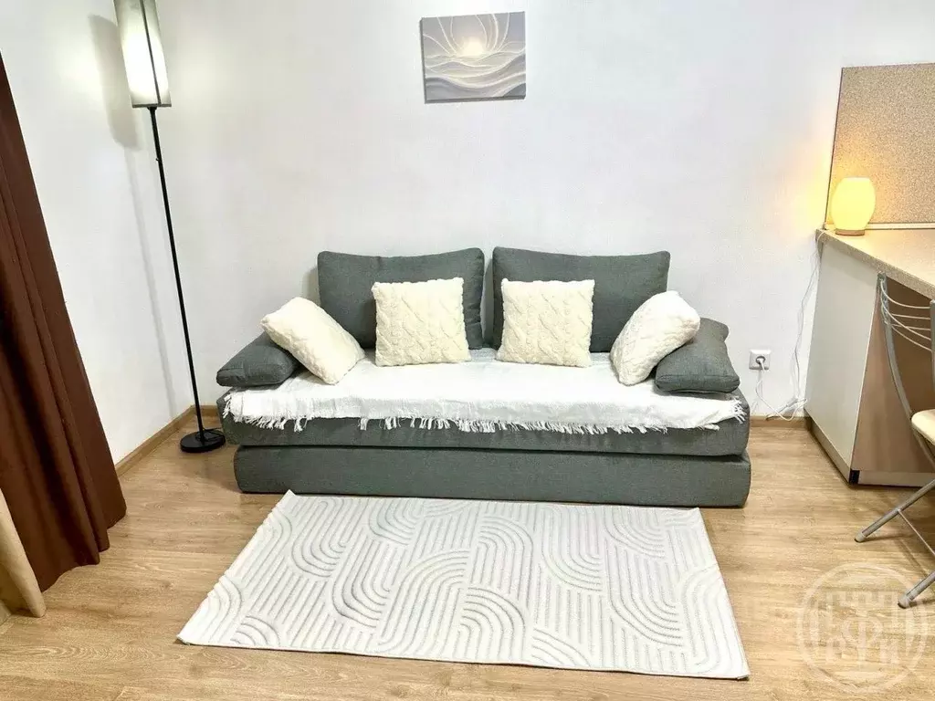 Студия Санкт-Петербург просп. Ветеранов, 169к2 (24.0 м) - Фото 2