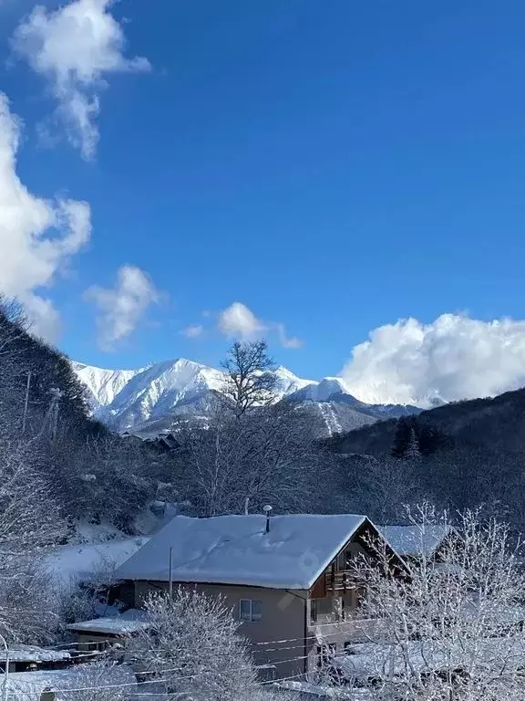 1-к кв. Краснодарский край, Сочи городской округ, Красная Поляна пгт ... - Фото 1