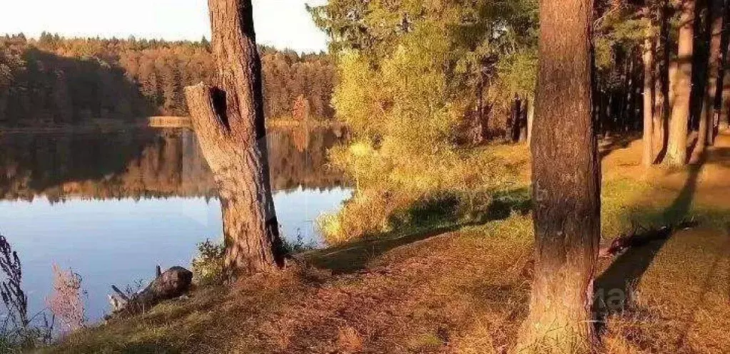 Участок в Тюменская область, Тюменский район, д. Коняшина  (30.5 сот.) - Фото 0