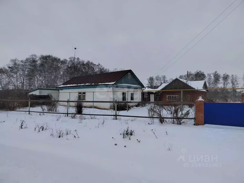 Дом в Омская область, Азовский Немецкий Национальный район, с. ... - Фото 1
