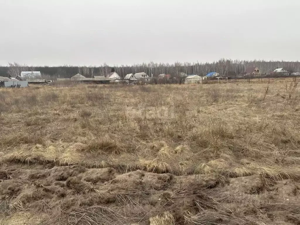 Участок в Белгородская область, Старооскольский городской округ, ... - Фото 0
