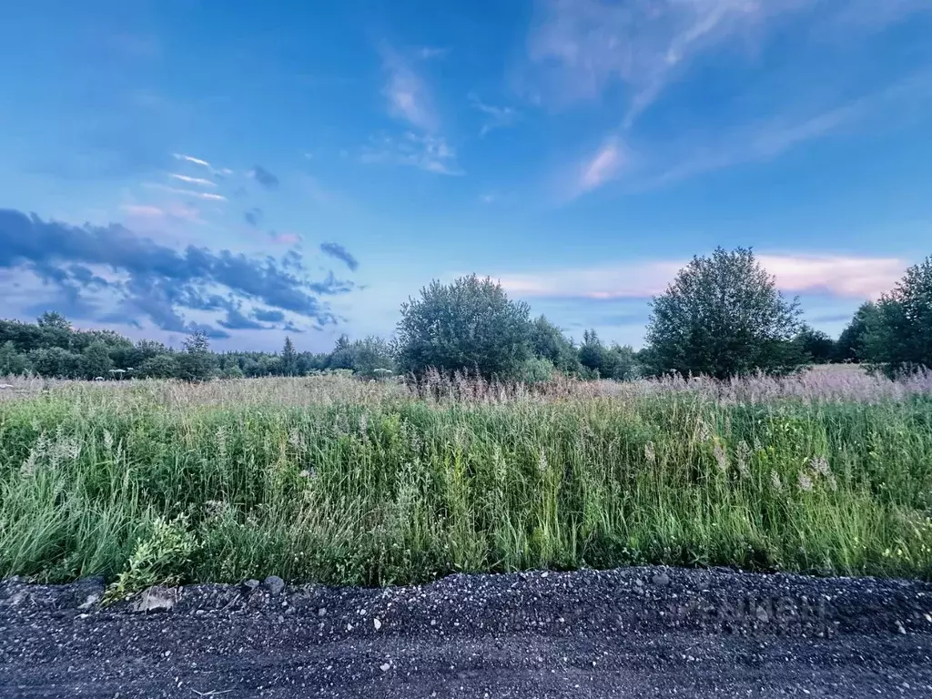 Участок в Ярославская область, Переславль-Залесский городской округ, ... - Фото 1