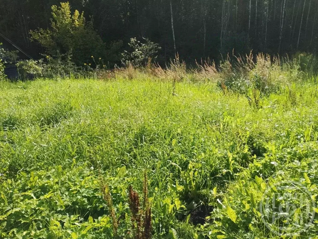 Участок в Ленинградская область, Лужский район, Волошовское с/пос, ... - Фото 2