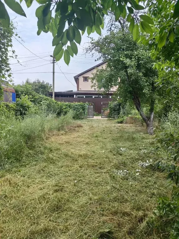 Участок 4 сот. (СНТ, ДНП) - Фото 1