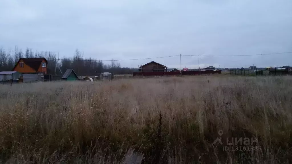 Участок в Новгородская область, Новгородский район, Савинское с/пос, ... - Фото 1